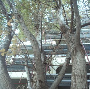 Έργα